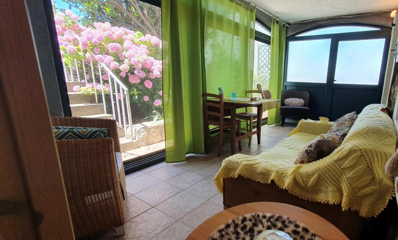 Boutique Home Saltaragazza Petrovac Εξωτερικό φωτογραφία