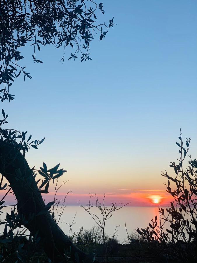 Boutique Home Saltaragazza Petrovac Εξωτερικό φωτογραφία
