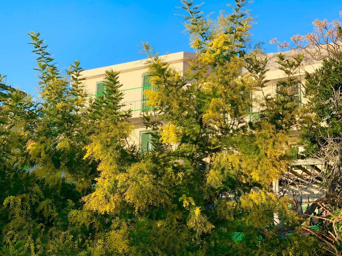 Boutique Home Saltaragazza Petrovac Εξωτερικό φωτογραφία