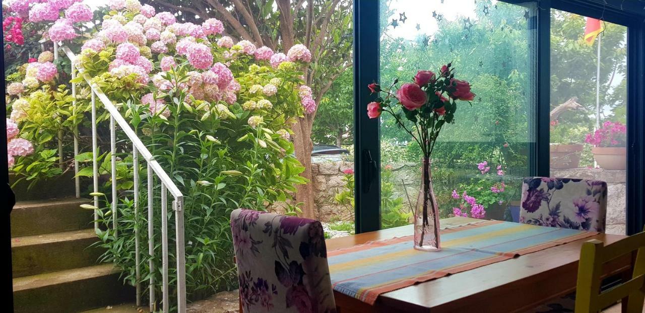 Boutique Home Saltaragazza Petrovac Εξωτερικό φωτογραφία