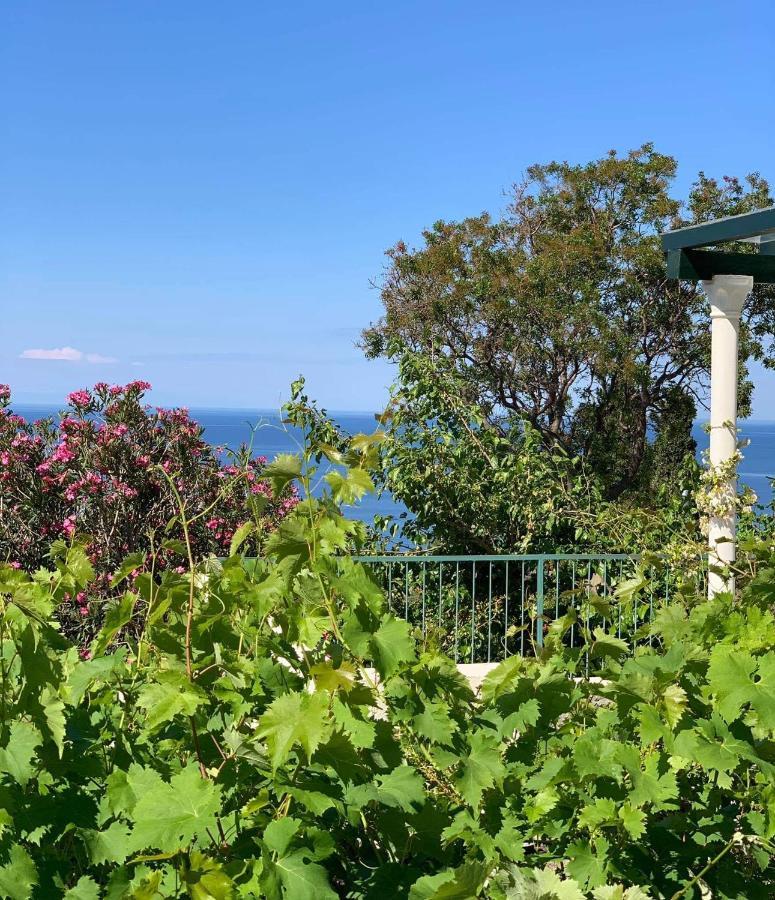Boutique Home Saltaragazza Petrovac Εξωτερικό φωτογραφία